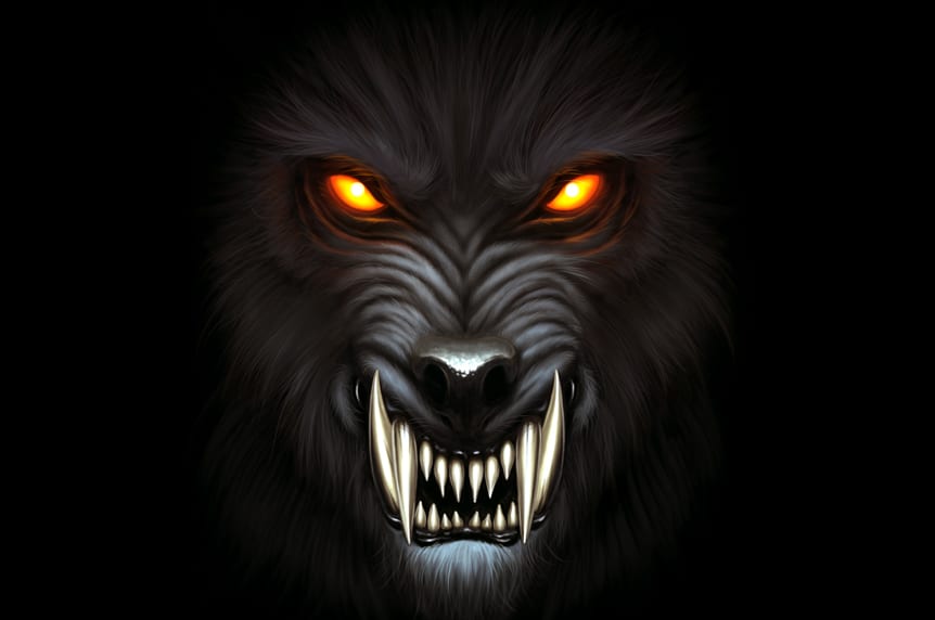 how to kill vampire weakness bite werewolf shapeshifter